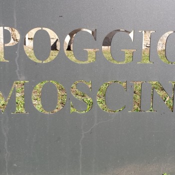 Area archeologica Poggio Moscini